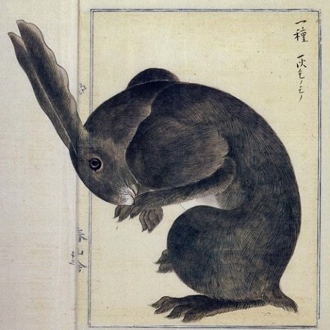 Takagi Haruyama, peintre japonais