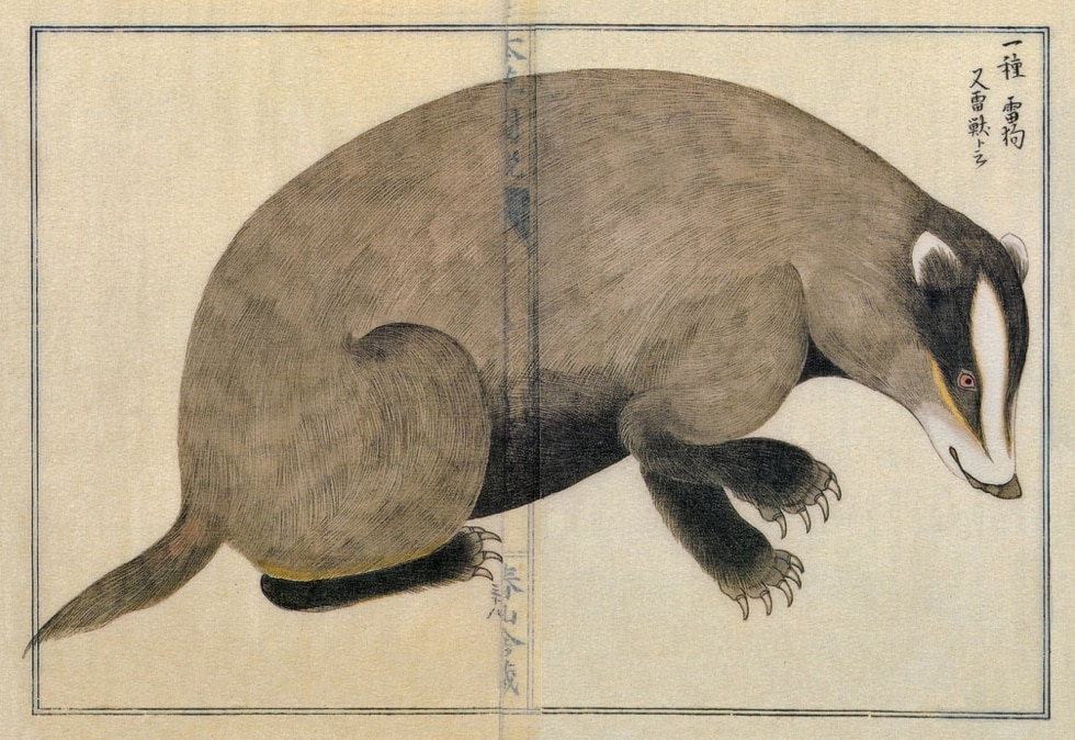 Takagi Haruyama, peintre japonais